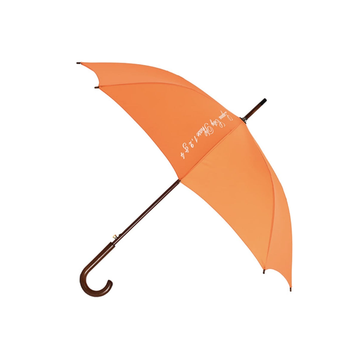 47" Arc Auto Umbrella