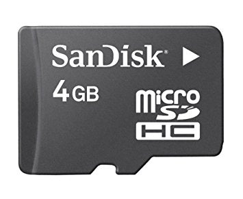 Carte Micro SD 4 Go