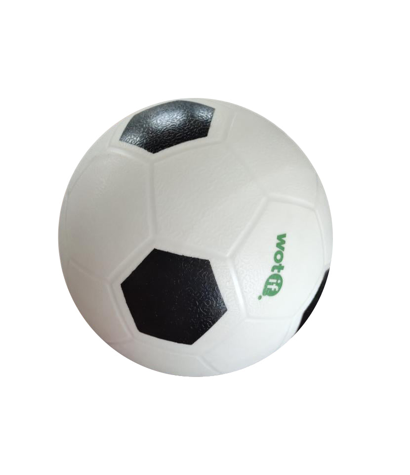 School Soccer Ball