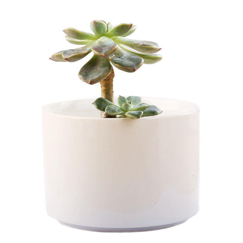 Ceramic Pot With Bamboo Stand