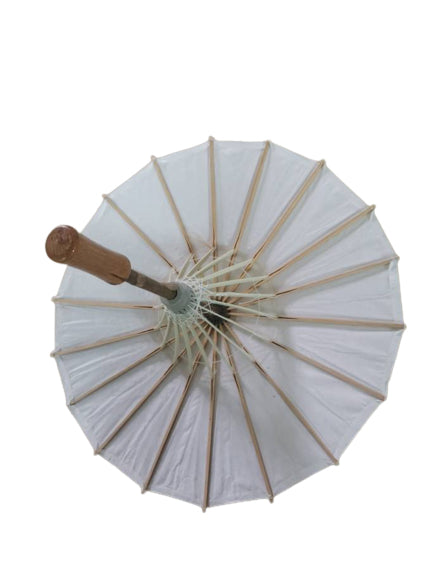 Paper Umbrella