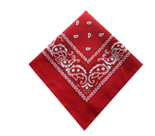 Bandanna Scarf Face Mask