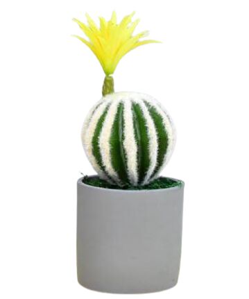 Faux cactus 12 pouces