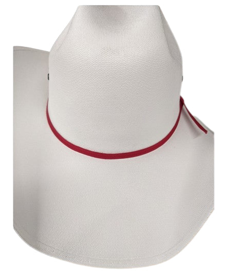 Chapeau de cowboy western en feutre