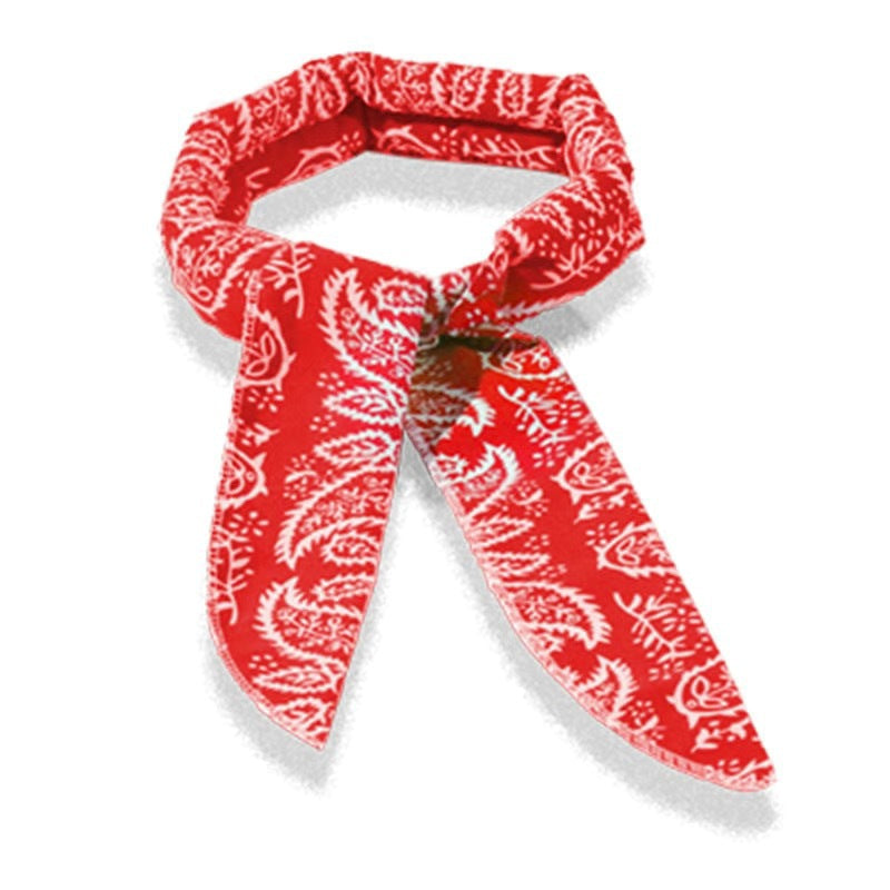 Serviette glacée fraîche