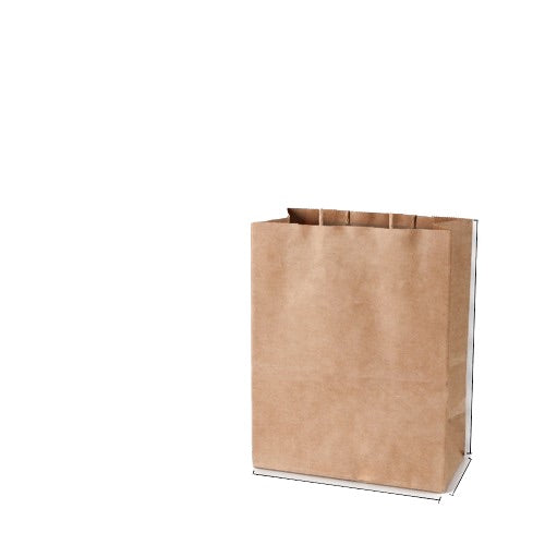 10.6 Inch Kraft Paper Tote Bag