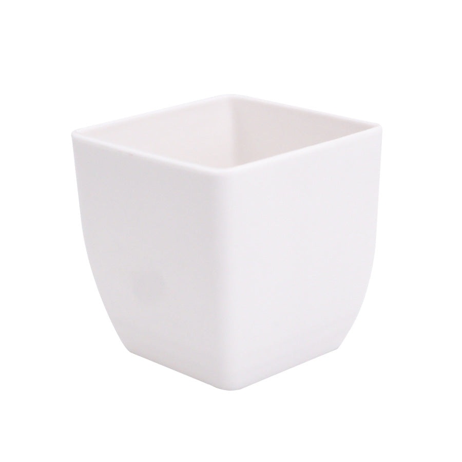 Succulent Plant Small Flowerpot