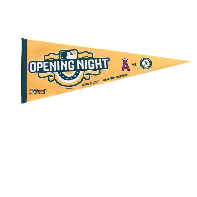 9x6 Inch Pennant With Wooden Stick