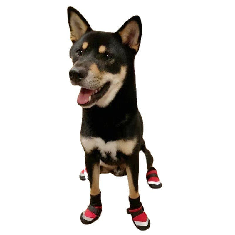 Chaussures pour chien taille M