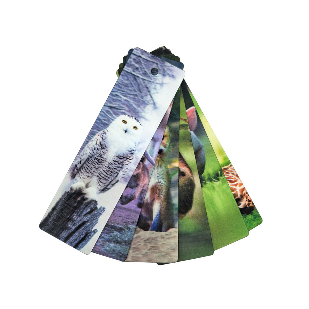 Lenticular Bookmark