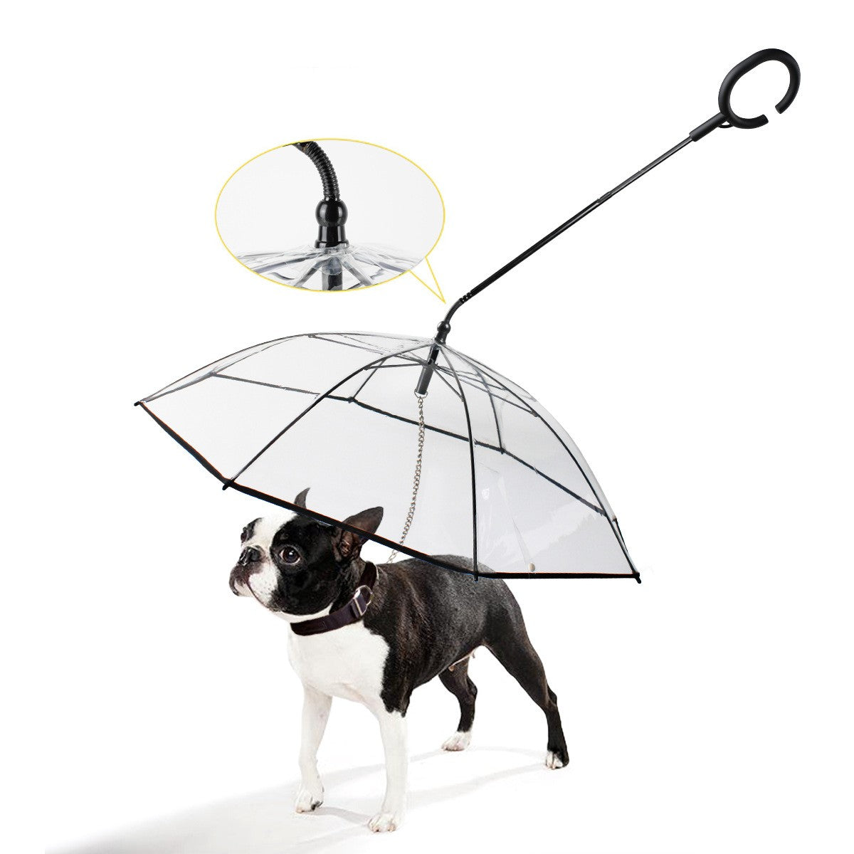 Parapluie pour animaux de compagnie