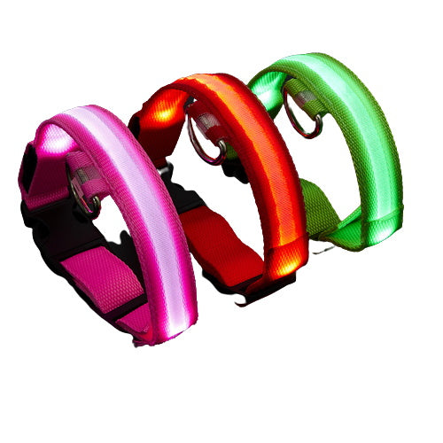 Collier LED rechargeable pour chien