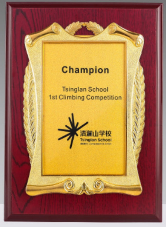 Plaques de médailles