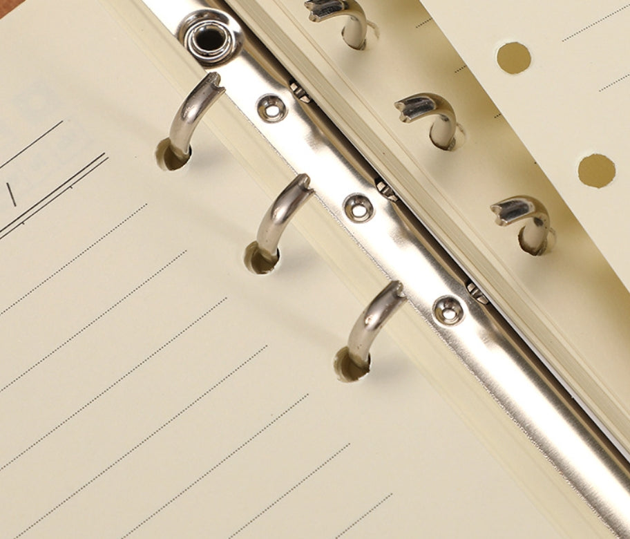 Classeur à feuilles mobiles