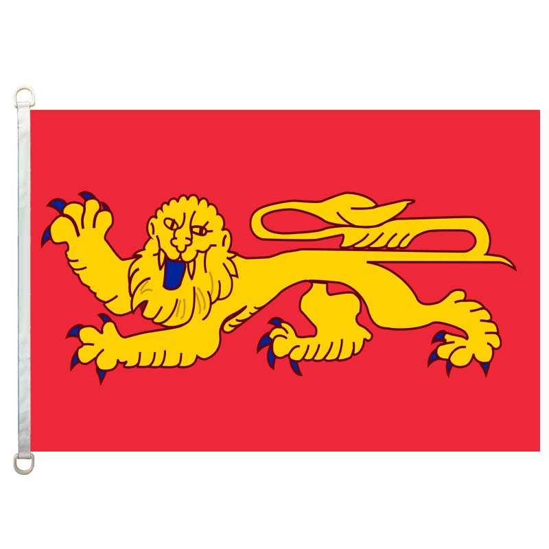 Grand drapeau en nylon personnalisé