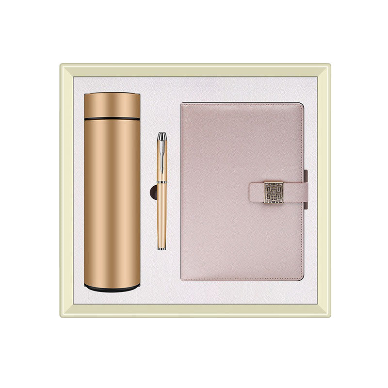 Business Gift Set - Insulated Bottle