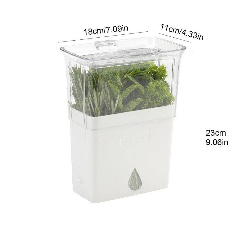 Acrylic Herb Storage Keeper Container
