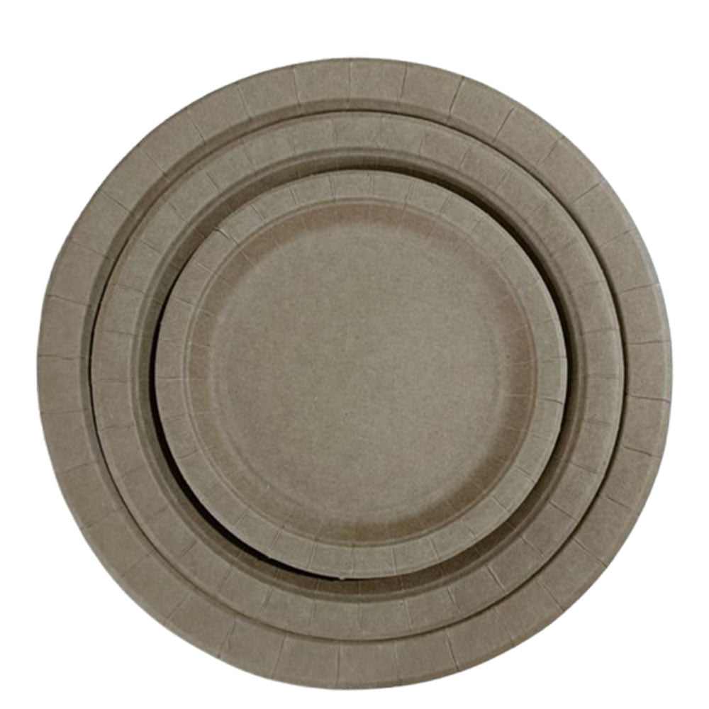 9 Inch Disposable Plate - Yorkn Inc✅