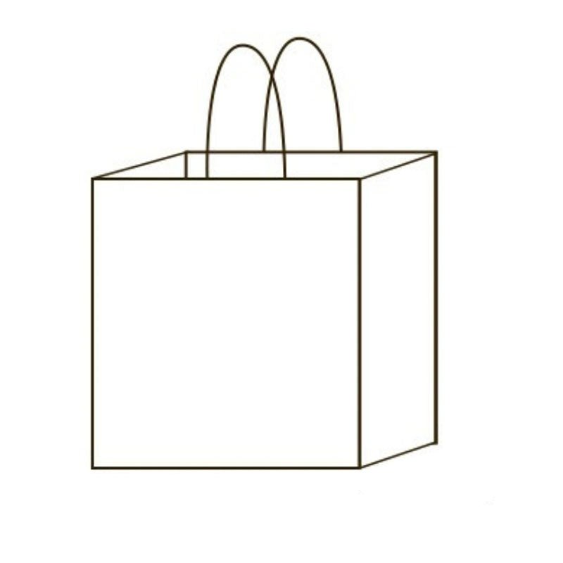 Kraft Paper Gift Bag With Handle - Yorkn Inc✅