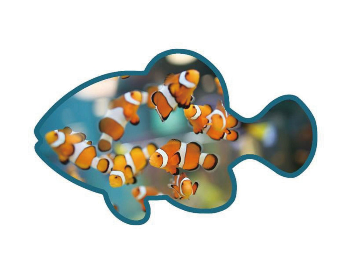 Wooden Token - Yorkn Inc✅