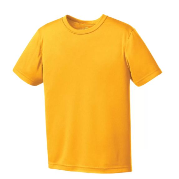 T-shirt à manches courtes Gildan Atc Pro Team pour jeunes 
