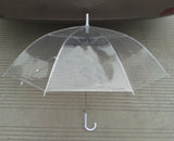Wide Season Transparent Umbrella