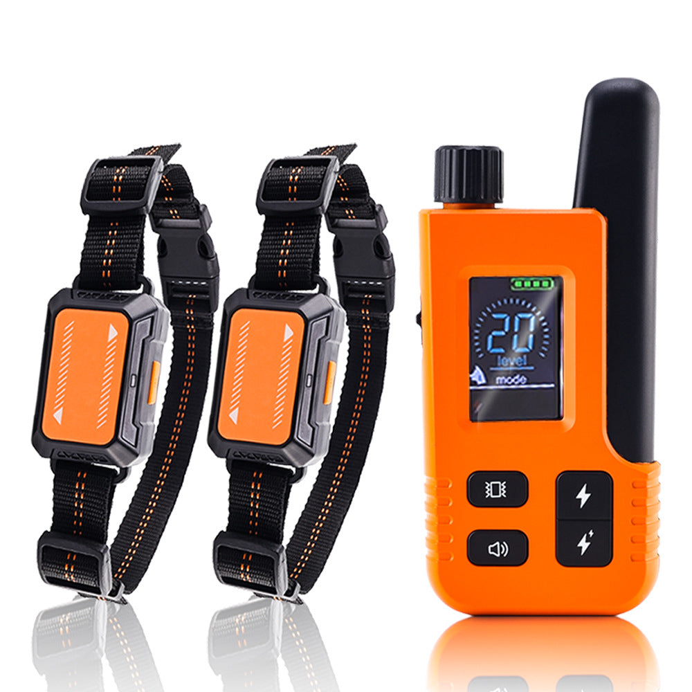 Ensemble de colliers de dressage antichoc pour deux chiens 