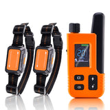 Ensemble de colliers de dressage antichoc pour deux chiens 