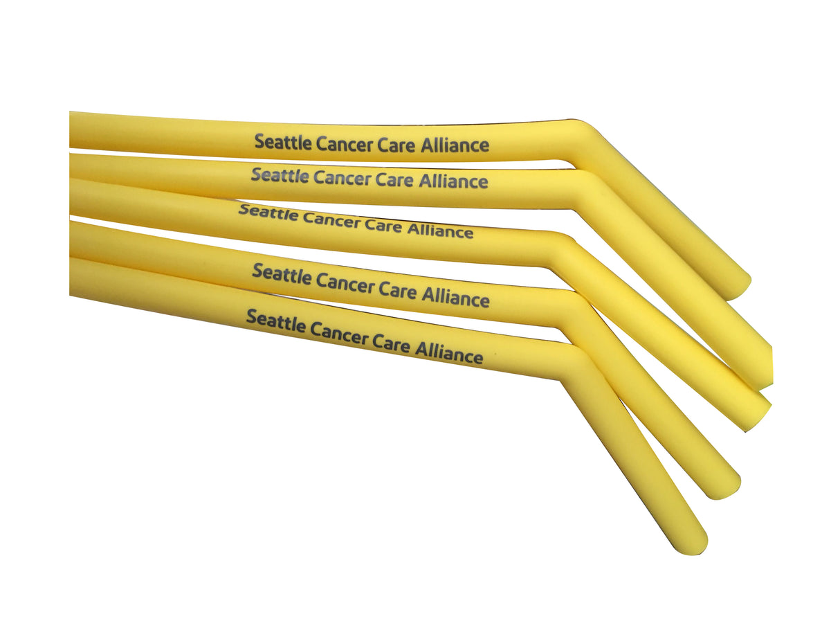 Pailles en acier inoxydable et en silicone 