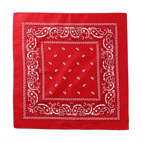 24 Inch Square Scarf - Yorkn Inc✅