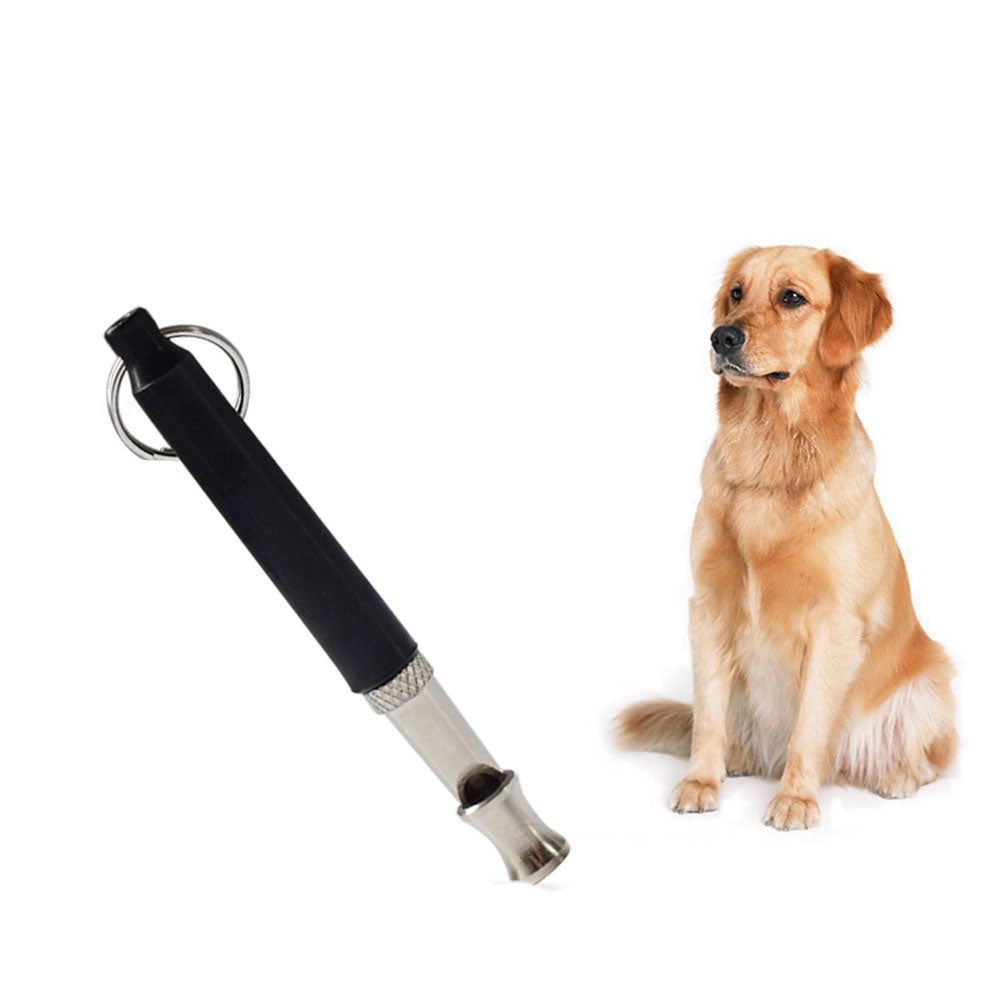 Sifflet de dressage pour chien