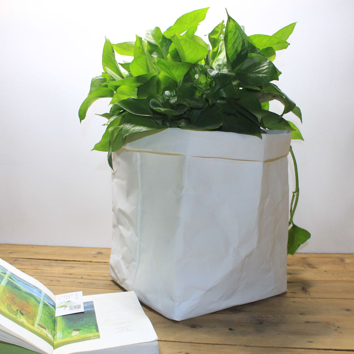 Sac en papier kraft lavable 