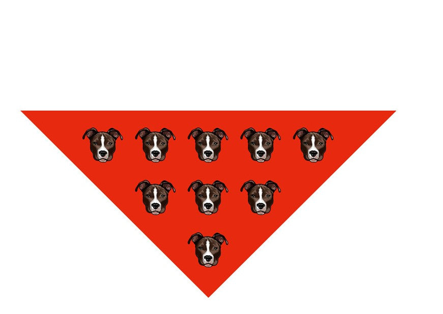 Bandana pour chien en couleur 