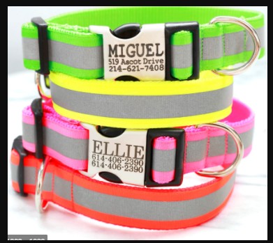 Colliers pour chiens de taille moyenne 