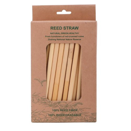 50pcs Disposable Straws - Yorkn Inc✅