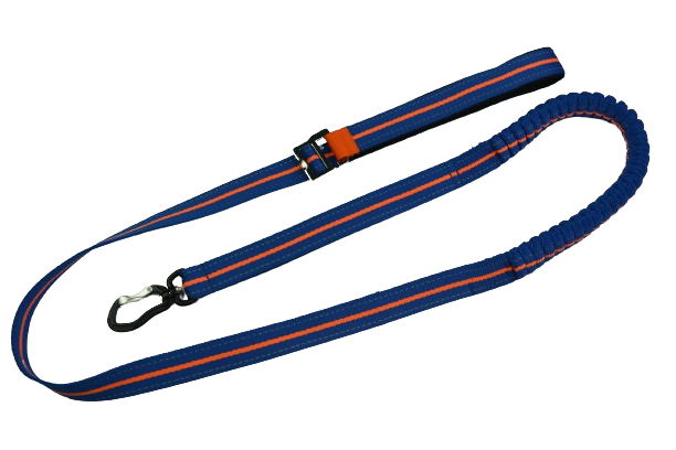 Laisse réfléchissante 