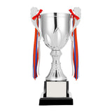 Trophée en métal de 43 cm 