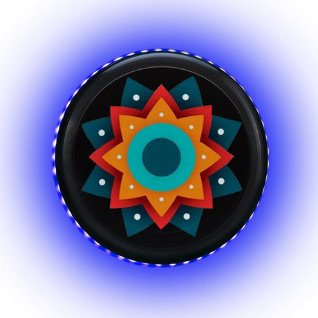 Led Luminous Frisbee
