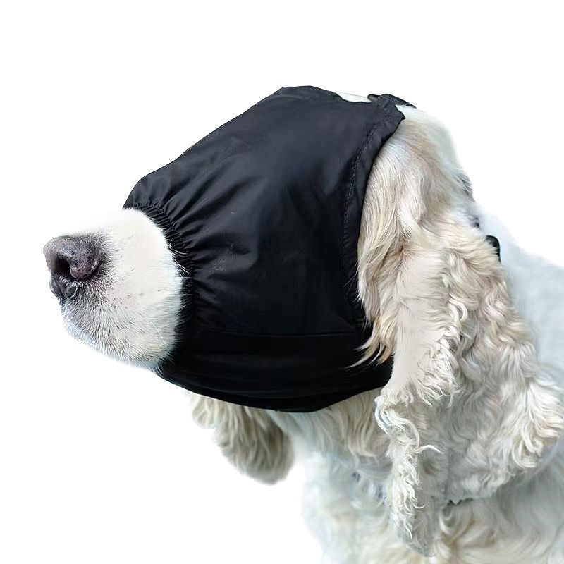 Masque de stabilisation pour les yeux pour chien 