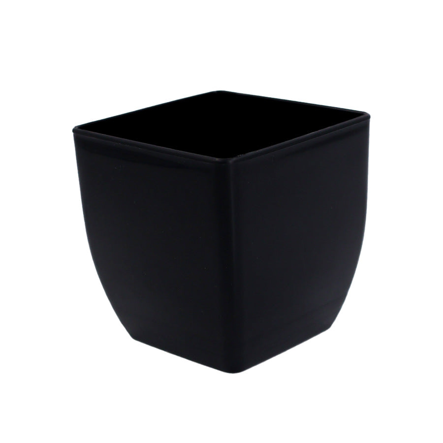 Succulent Plant Small Flowerpot