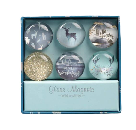 Lot de 6 aimants ronds en verre pour réfrigérateur 