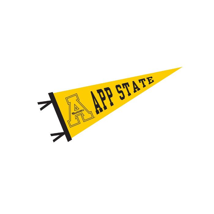 Drapeau fanion en feutre 