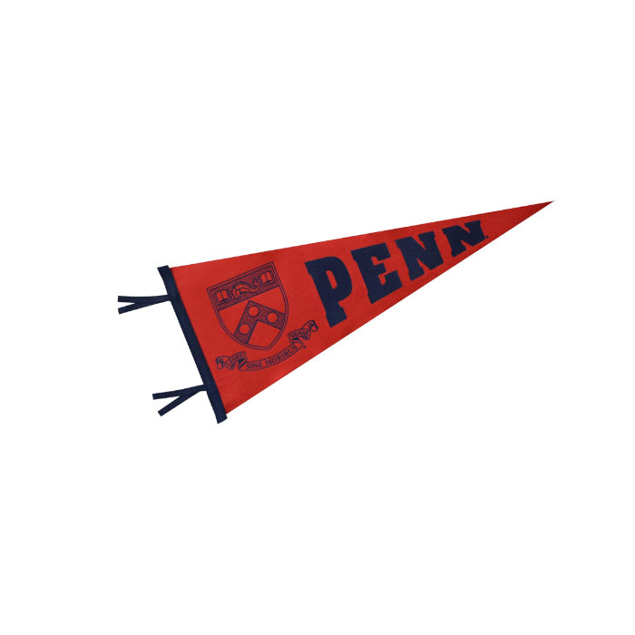 Drapeau fanion en feutre 