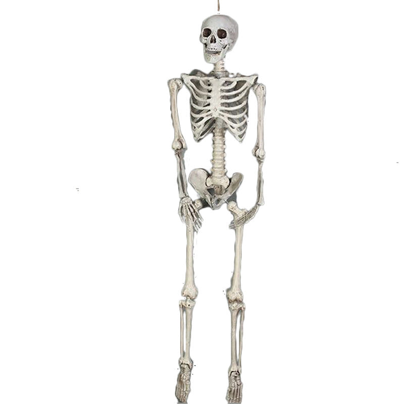 Halloween Skeleton