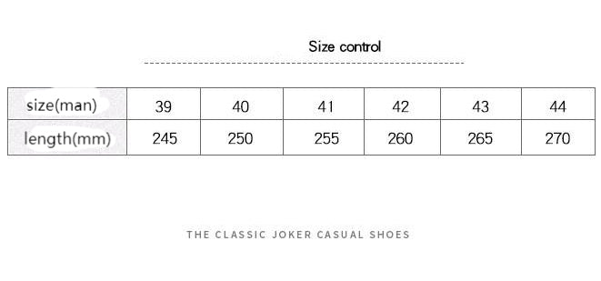 Bottes de neige pour hommes 