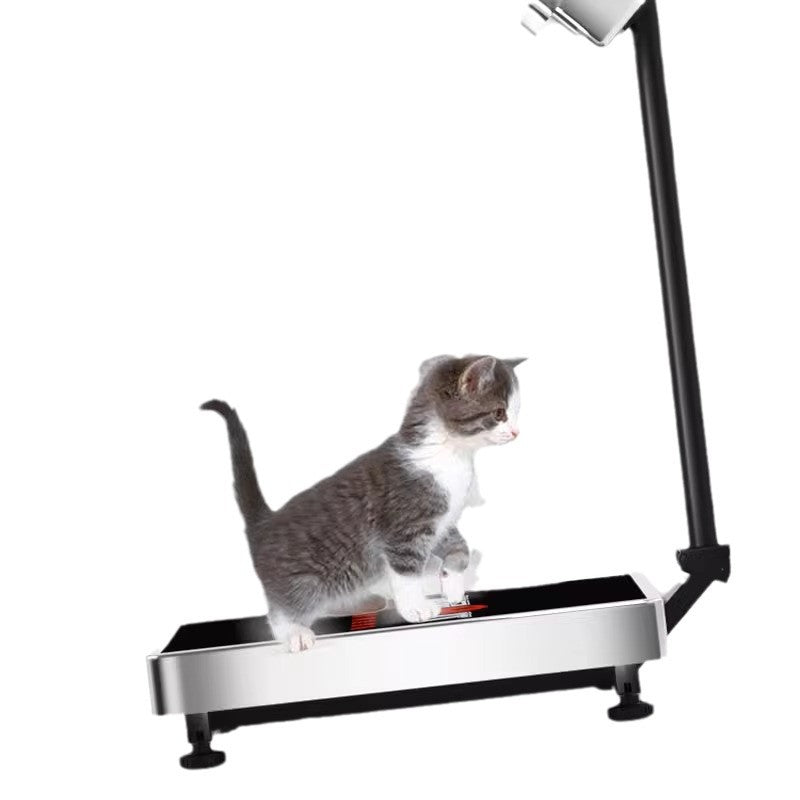 Balance électronique pliable 