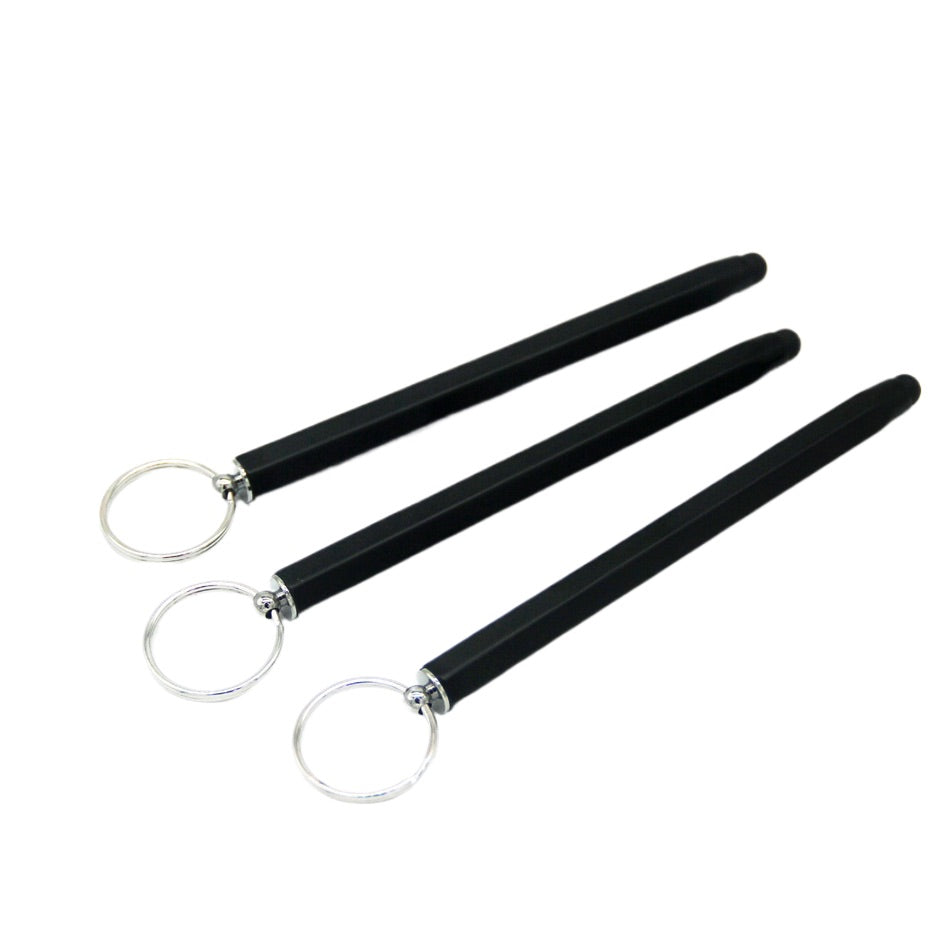 Stylet universel avec porte-clés pour téléphone et tablette 