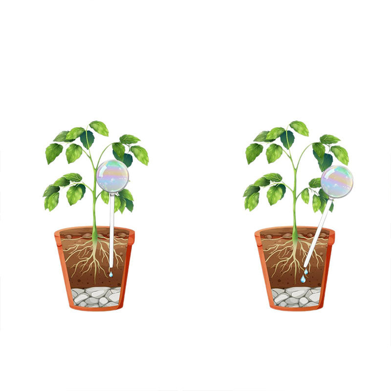 2 Pack Glass Plant Watering Globes