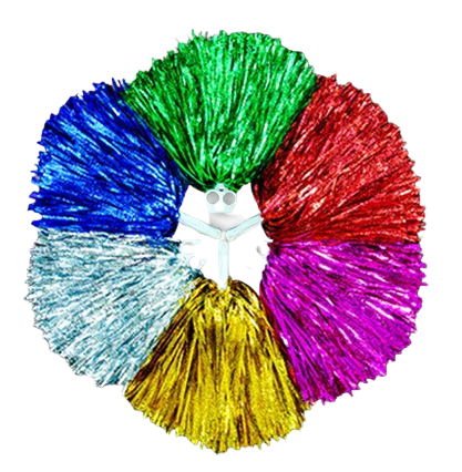 Cheerleader Flowers - Yorkn Inc✅