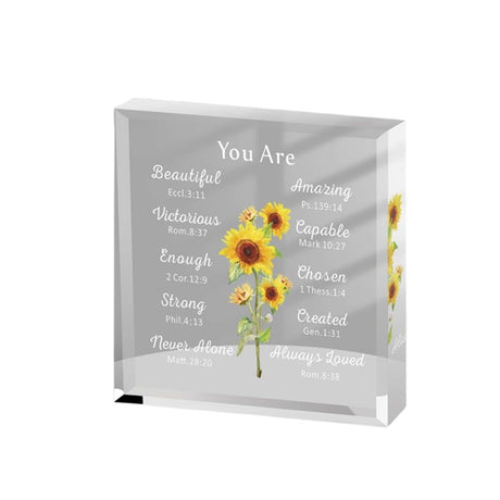 Clear Acrylic Decorative Ornament - Yorkn Inc✅